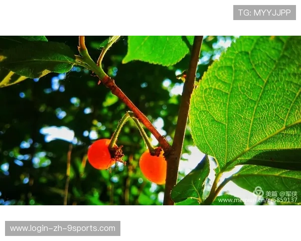 樱桃军有望利用短传配合撕开防线